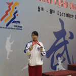 3rd world junior wushu 3